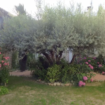 Mon Paradis