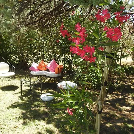 Mon Paradis Apartment *
