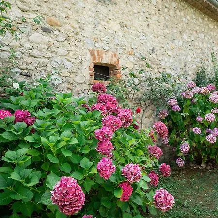 Apartment Mon Paradis Vallon-Pont-d'Arc