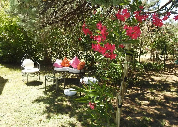 Mon Paradis Apartment *